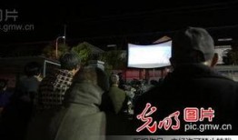 电影强我在线观看,网络世界的逆袭传奇